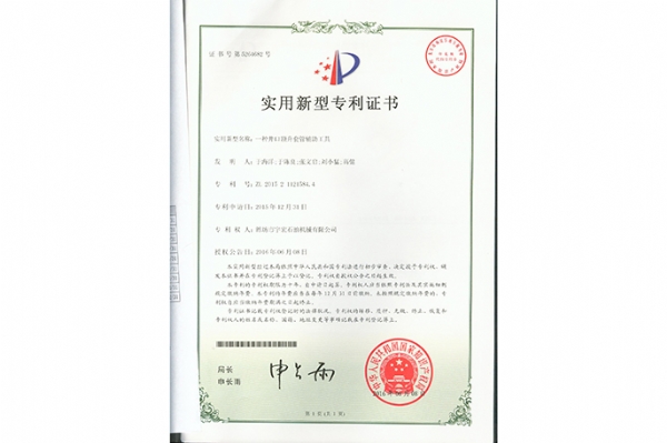 實(shí)用新型 (20)