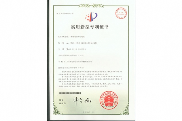 實(shí)用新型 (6)
